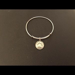 Alex and Ani charm bracelet
